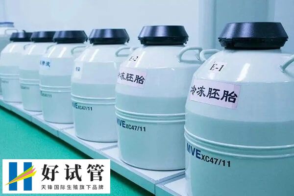 囊胚和冻囊胚哪个着床快些(图1) 鲜囊胚和冻囊胚都属于囊胚