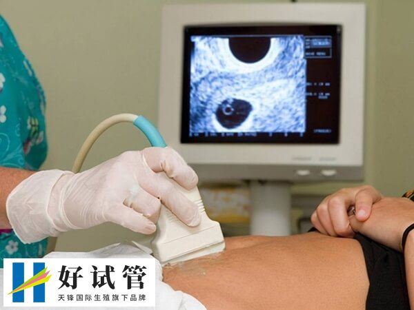 子宫内膜薄做试管移植能否成功(图3) 子宫内膜薄移植胚胎成功率约20%到30%