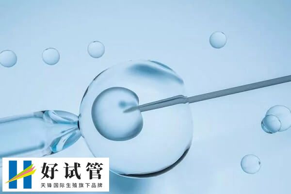 胚胎培养成囊胚的过程是什么(图1) 养囊是一个优胜劣汰的过程