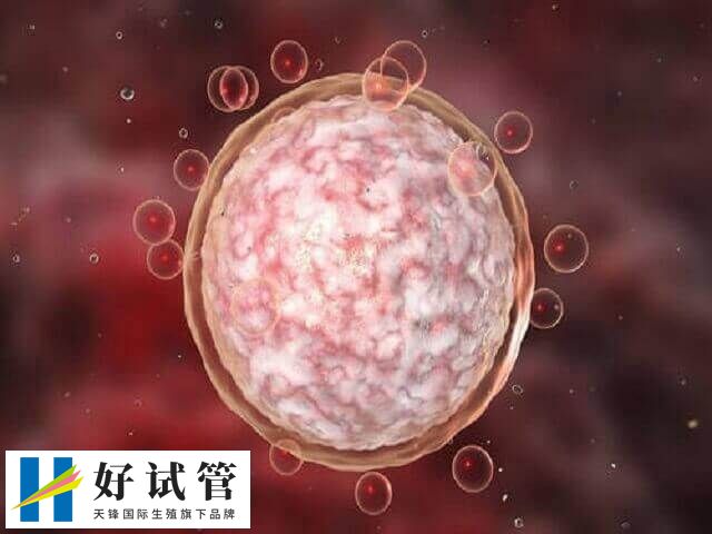 什么情况不能移植鲜胚(图1) 鲜胚移植有条件