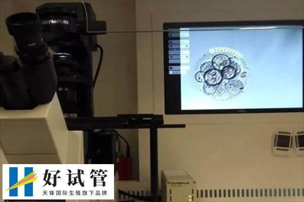 囊胚培养失败有什么原因(图1) 囊胚培养不成功的原因很多