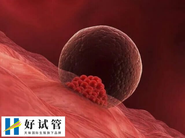 卵泡发育成熟之后就可以安排取卵