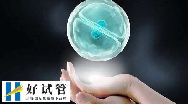 试管婴儿胚胎移植成功率多少(图2) 冻胚是放到-196℃的液氮中冷冻起来了