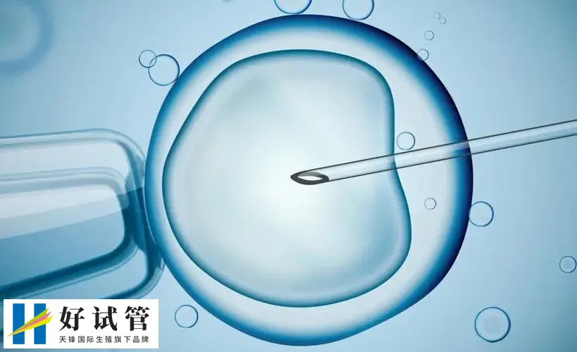 廊坊哪个医院可以做人工授精?推荐三大著名试管婴儿医院