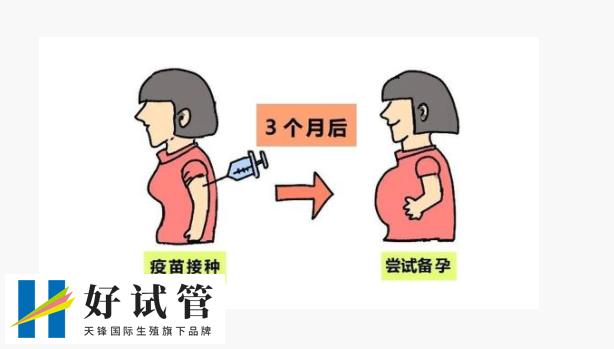 北京市试管婴儿哪个医院比较靠谱?揭秘十家高口碑助孕医院