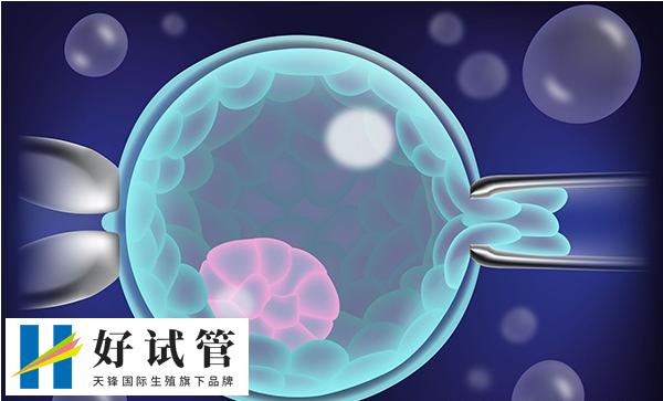 泰国试管婴儿成功几率大吗?泰国十大试管医院大全整理
