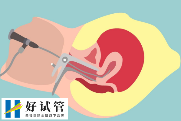 上海市不孕不育医院做试管婴儿一般得多钱?哪家医院成功率最高?