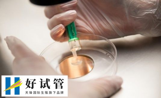 佛山哪家医院做试管婴儿成功率比较高?