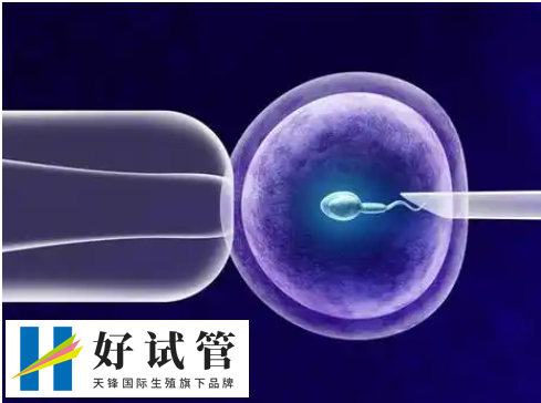 移植着床成功后一般内裤会很干净吗?