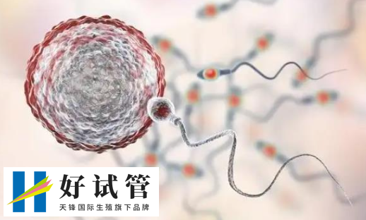 试管囊胚移植第十四天出现血块了是失败了吗?