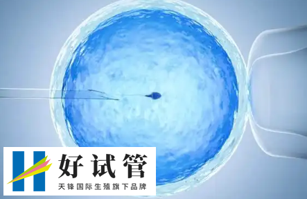 试管短方案促排卵泡长得慢要重新定方案吗?