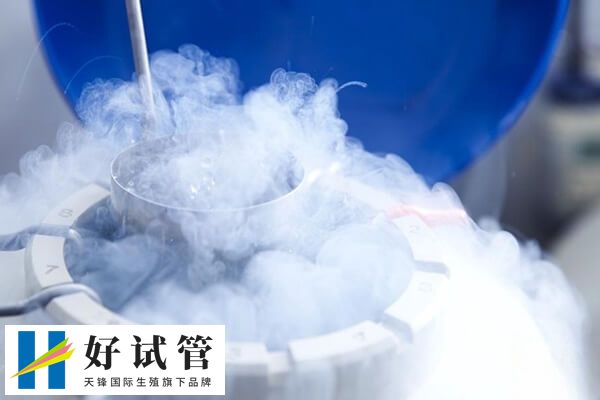 冻胚移植内膜准备方案有哪些(图1) 冷冻胚胎的移植技术先进