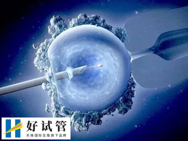 试管婴儿CET和FET是什么意思(图2) 内分泌紊乱会影响试管成功率