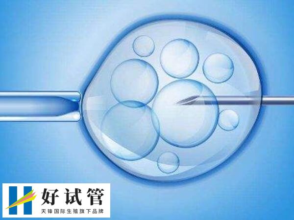 做三代试管生男孩要多少钱