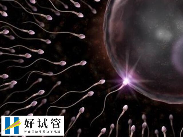 做二代试管婴儿医生凭借经验容易挑到y精子吗?(图2) Y精子是携带男性染色体的精子