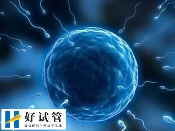 男方弱精做一代试管还是二代试管 弱精症
