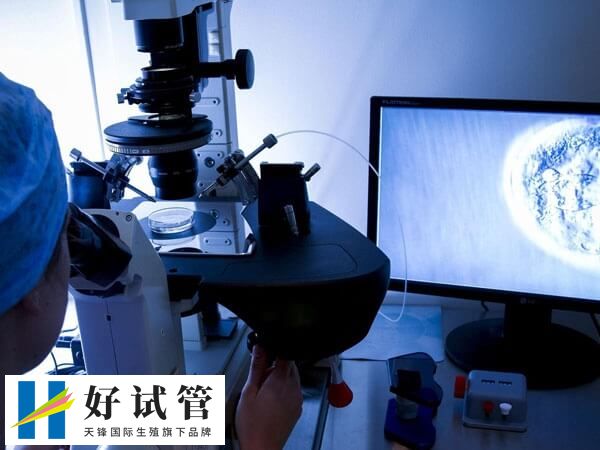 冷冻最长试管婴儿是多少天