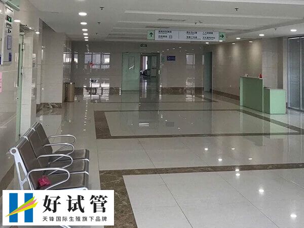 济南山大试管费用是多少