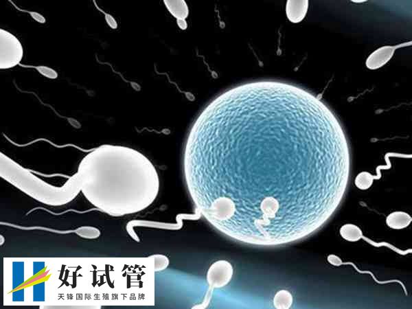 试管全是三级胚胎原因是什么