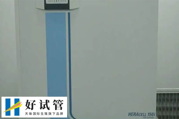 南京最有名的试管医院有哪些
