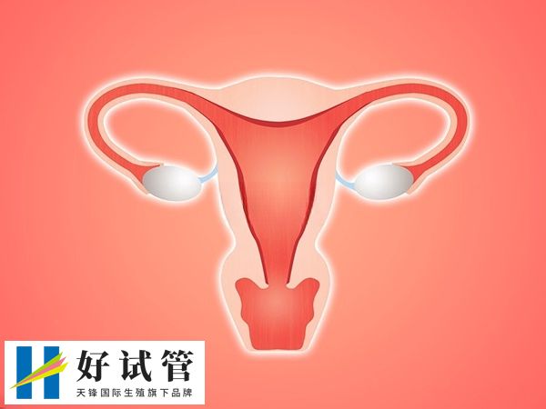 降调45天还能不能促排(图2) 内膜厚度若是小于5mm表示降调成功