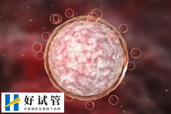 降调45天还能不能促排(图1) 多个卵泡大小近似且小于5mm表示降调成功