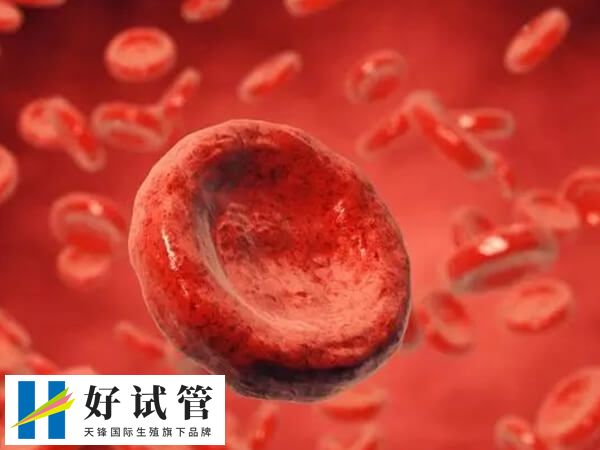 醛固酮增多症会不会影响做试管(图1) 醛固酮过多是导致心肌肥厚的重要危险因素