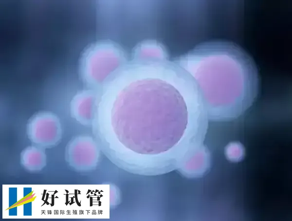 国内做试管婴儿必须提供结婚证是什么原因?(图2) 在我国做试管婴儿是有一定条件的