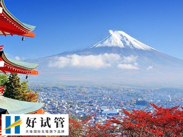 日本试管医院哪个最好