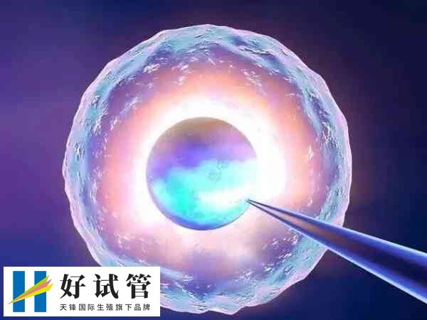 日本试管成功率有多大
