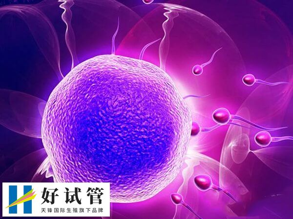 试管短方案对身体的伤害有哪些