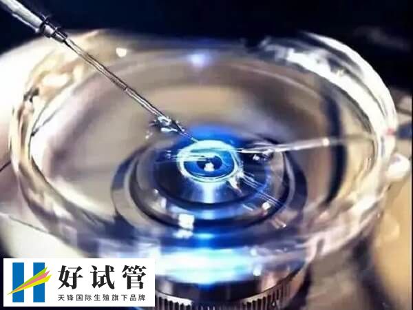 试管短方案的可不可以移植鲜胚