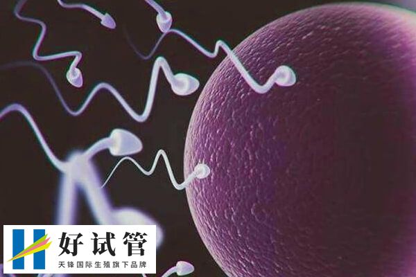 试管婴儿患9种疾病是哪些