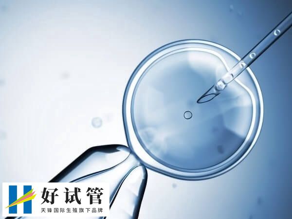 试管婴儿短方案优缺点是什么