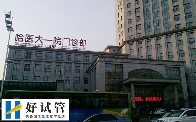 哈医大一院试管婴儿费用多少