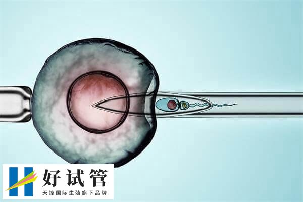 试管婴儿短效长方案促排卵会有哪些优点和缺点？