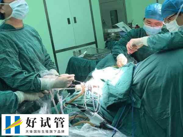 试管前需不需要结扎输卵管(图2) 腹腔镜输卵管结扎对身体损伤较小