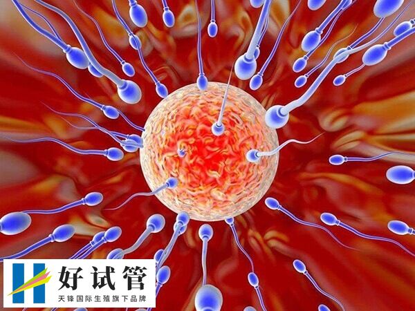 试管婴儿对女性身体的伤害有多大