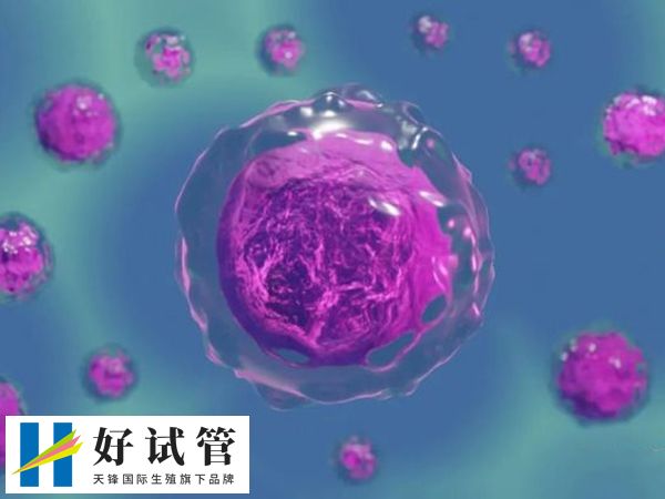 试管胚胎质量不好影不影响胎儿健康