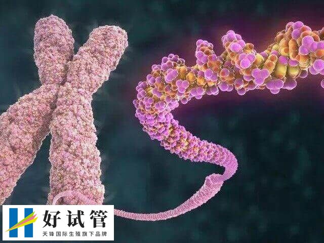 多发性骨软骨瘤做试管婴儿会不会遗传