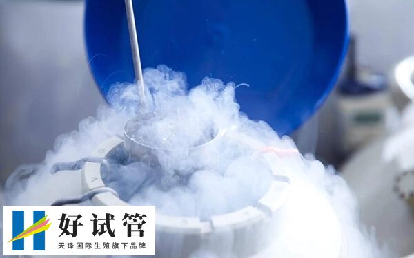 一次冻精可做几次试管