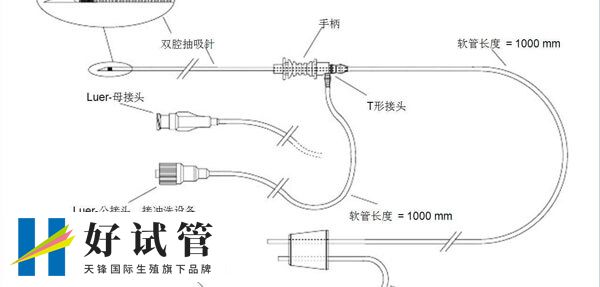 什么是双腔取卵针