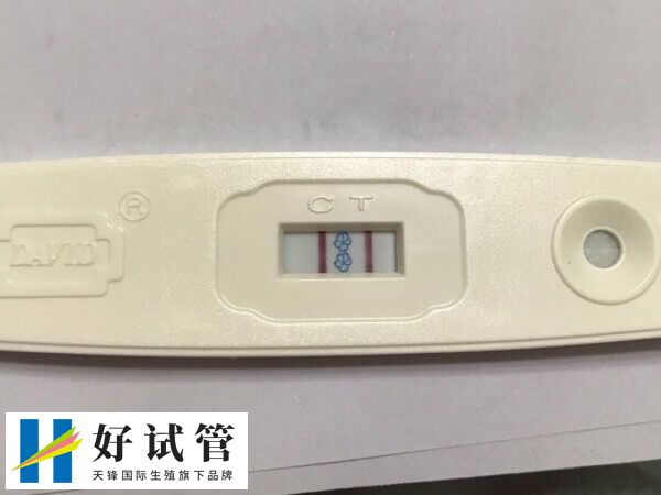胚胎移植第15天出血但测出双杠是什么情况