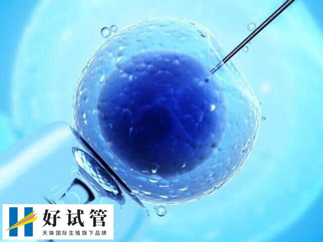 试管最多可以做几次