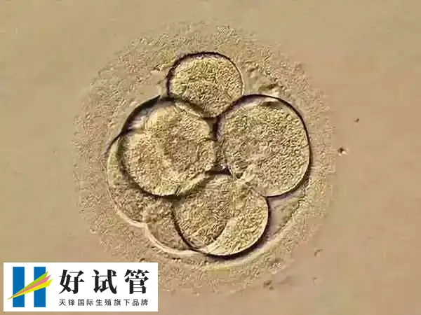 ppos方案要不要打防排针
