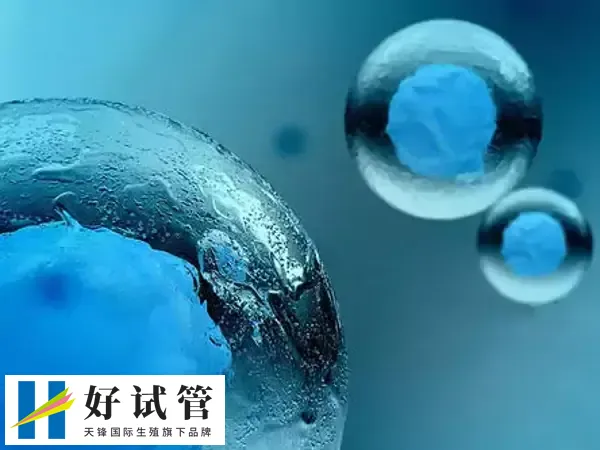 冻卵试管成功率高不高