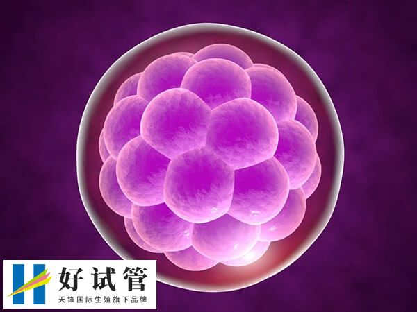 4bb囊胚质量等级高不高