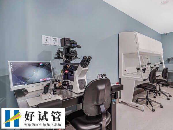 试管胚胎4AA好还是5bb好