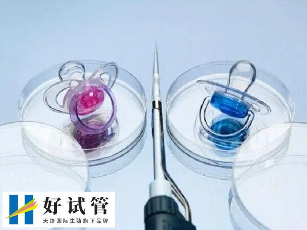 试管婴儿怎么生龙凤胎