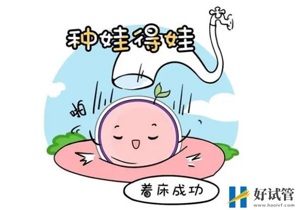 冻卵前需要检查什么
